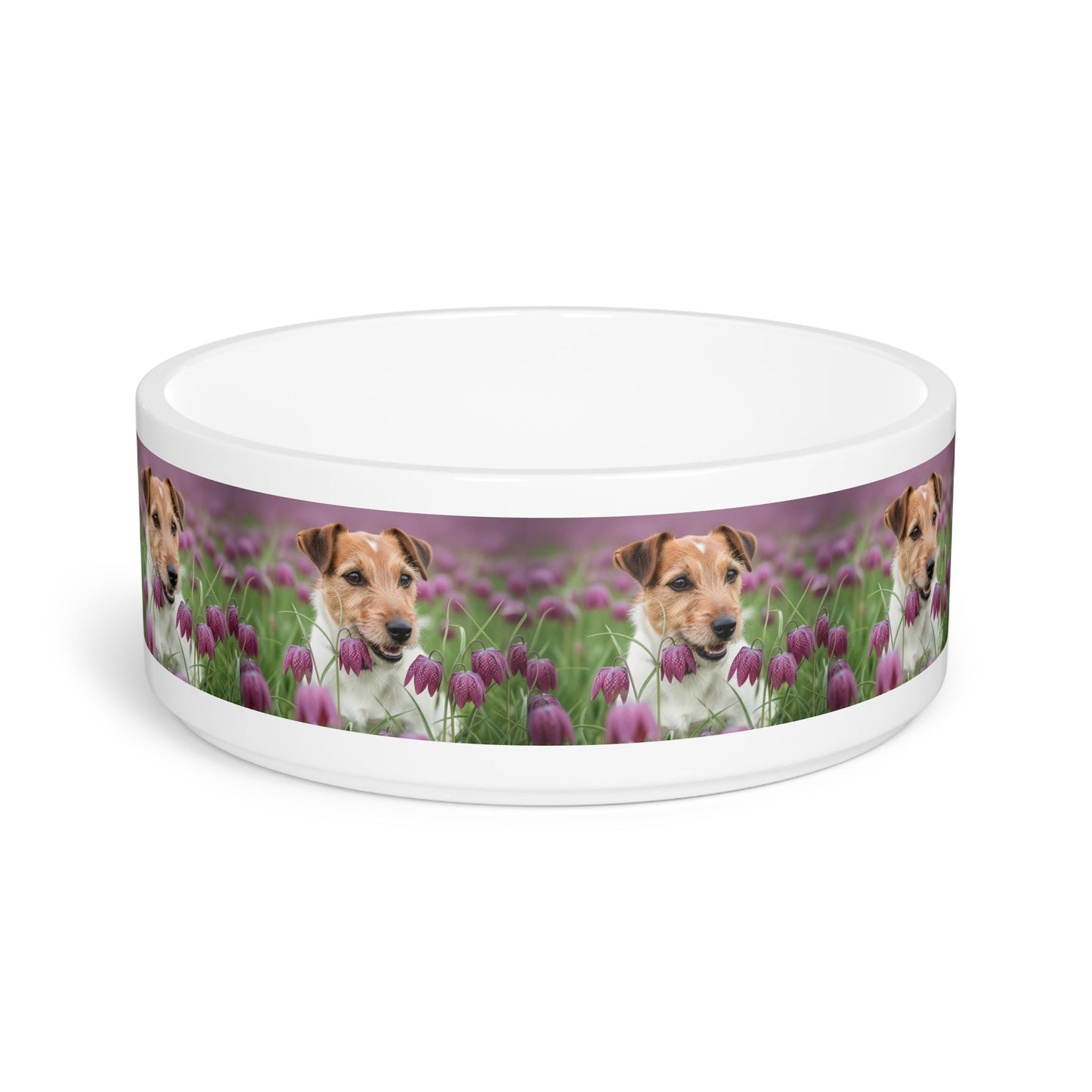 Ceramic Pet Bowl – 16 oz Dog Feeding Bowl