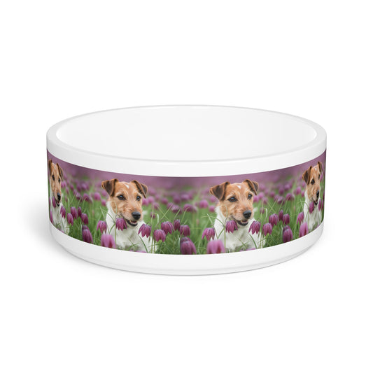 Ceramic Pet Bowl – 16 oz Dog Feeding Bowl