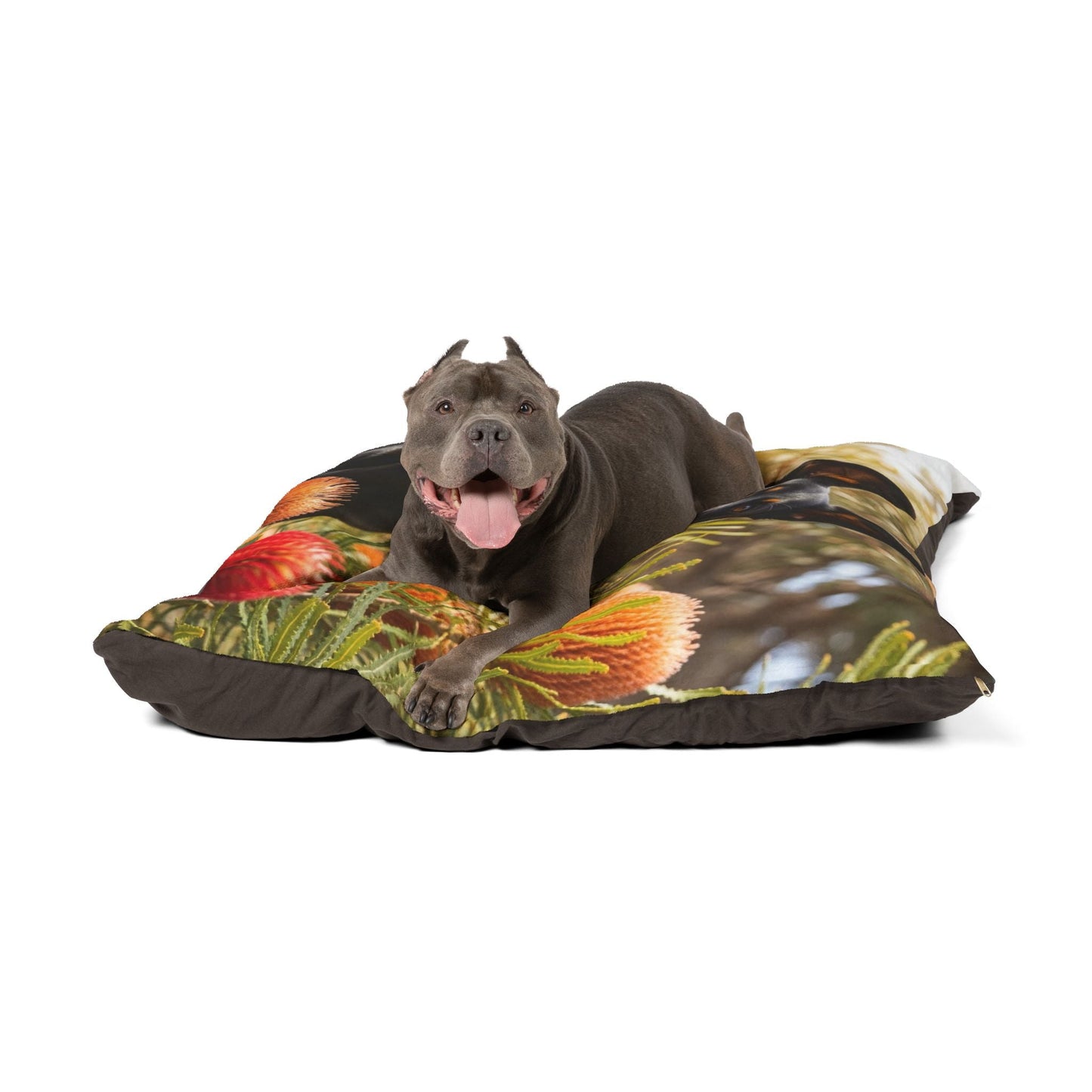 Haustierbett – Plüsch-Hundebett, 3 Größenoptionen