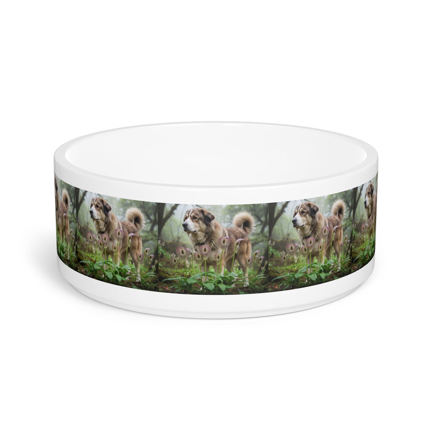 Ceramic Pet Bowl – 16 oz Dog Feeding Bowl