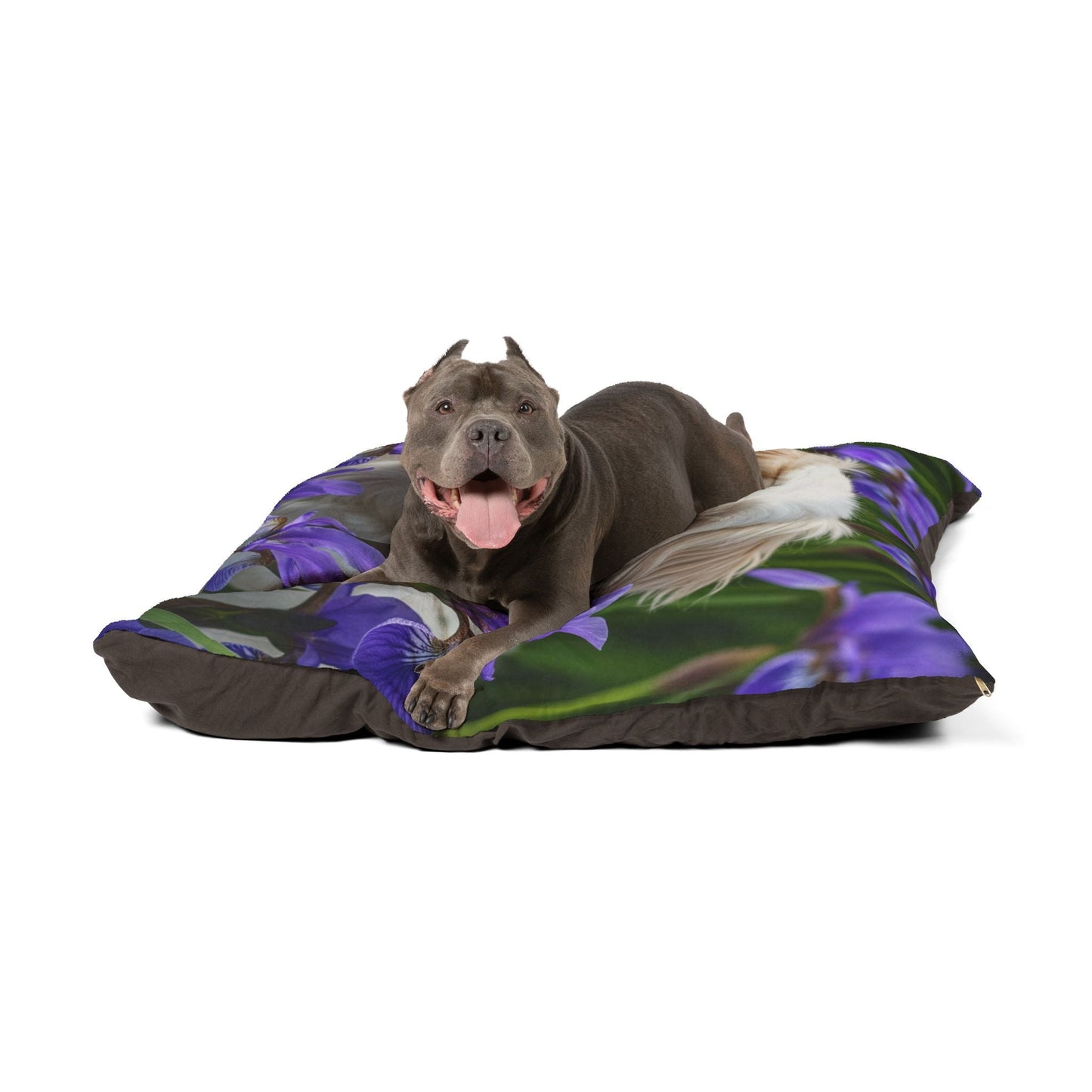 Pet Bed – Plush Dog Bed, 3 Size Options