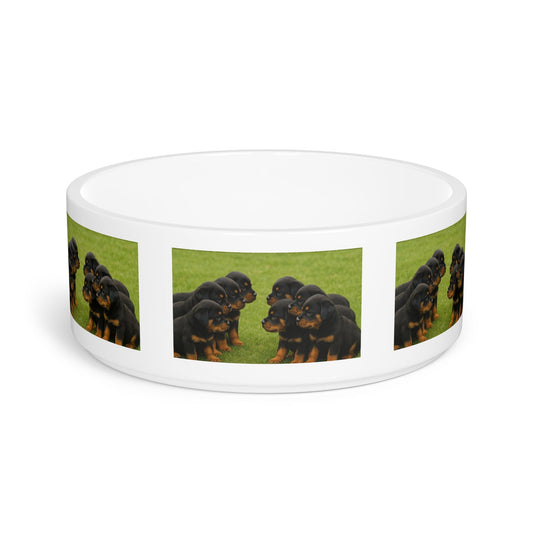 Ceramic Pet Bowl – 16 oz Dog Feeding Bowl