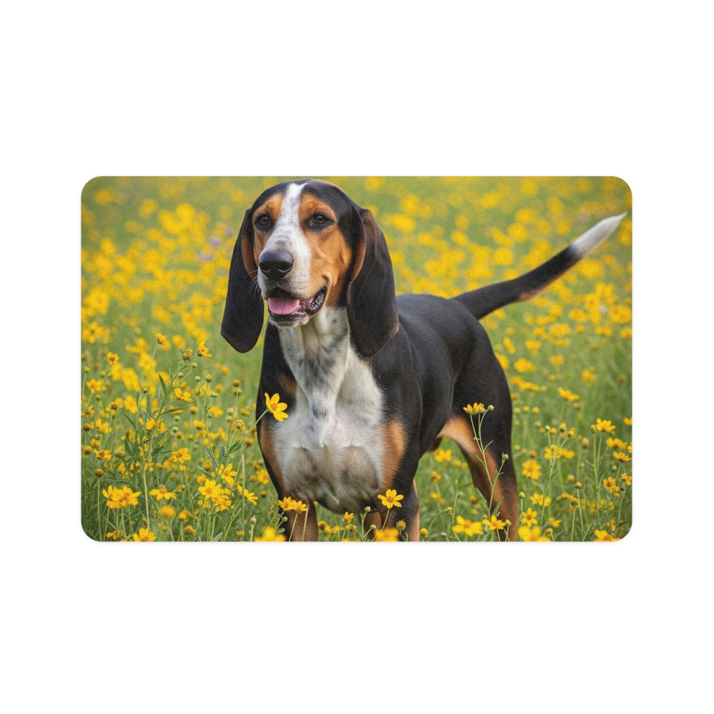 Tapis antidérapant pour animaux de compagnie – Tapis d'alimentation étanche pour chiens