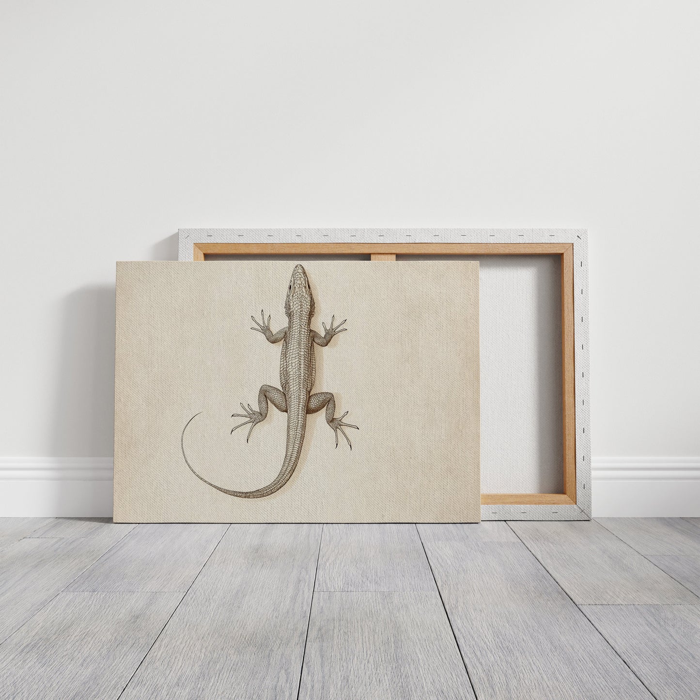 Desert Dweller – Vintage Lizard Scientific Illustration Print
