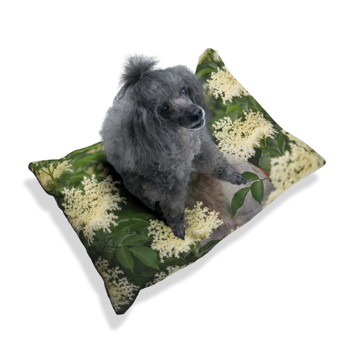 Lit pour animaux de compagnie – Lit douillet pour chien, 3 tailles disponibles