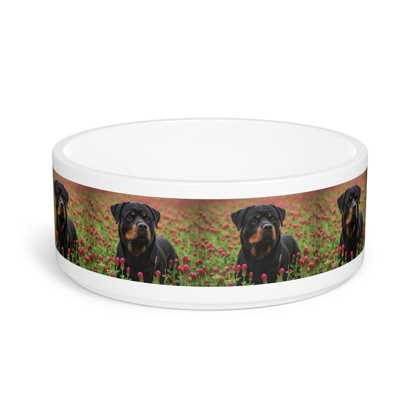 Ceramic Pet Bowl – 16 oz Dog Feeding Bowl