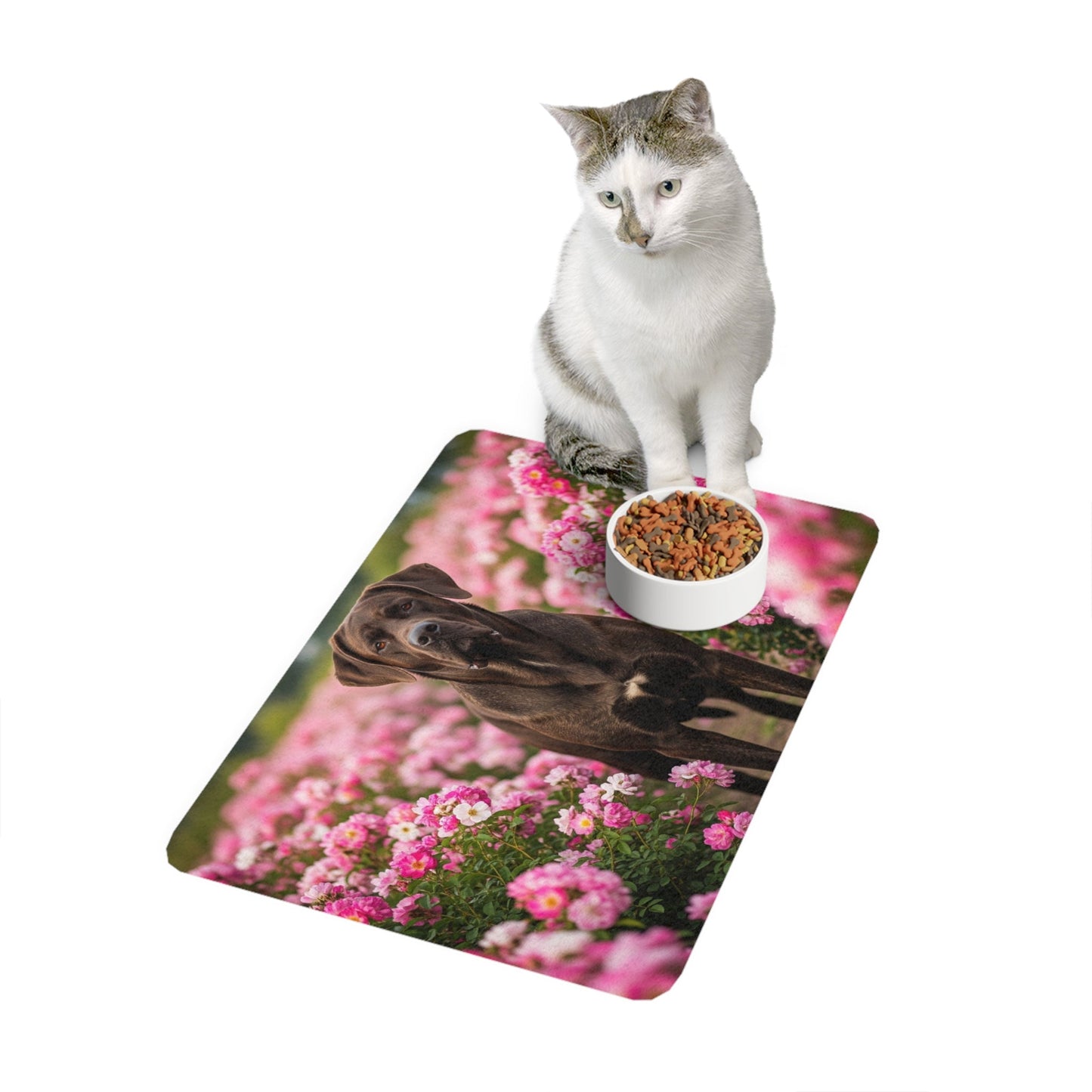 Non-Slip Pet Food Mat – Waterproof Feeding Mat for Dogs