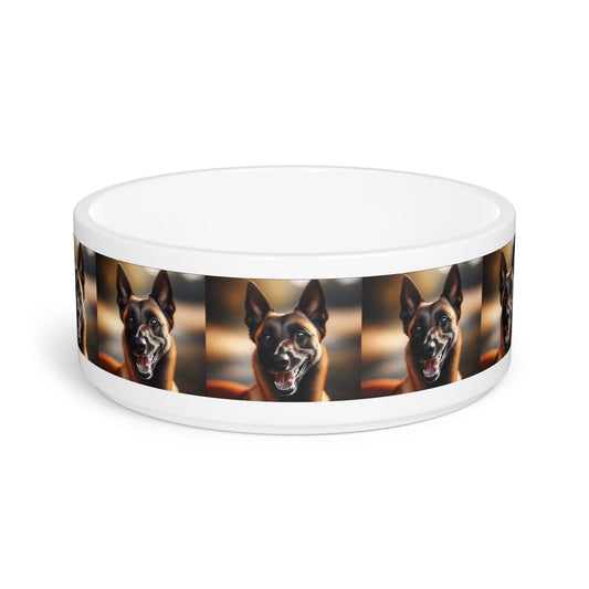 Ceramic Pet Bowl – 16 oz Dog Feeding Bowl
