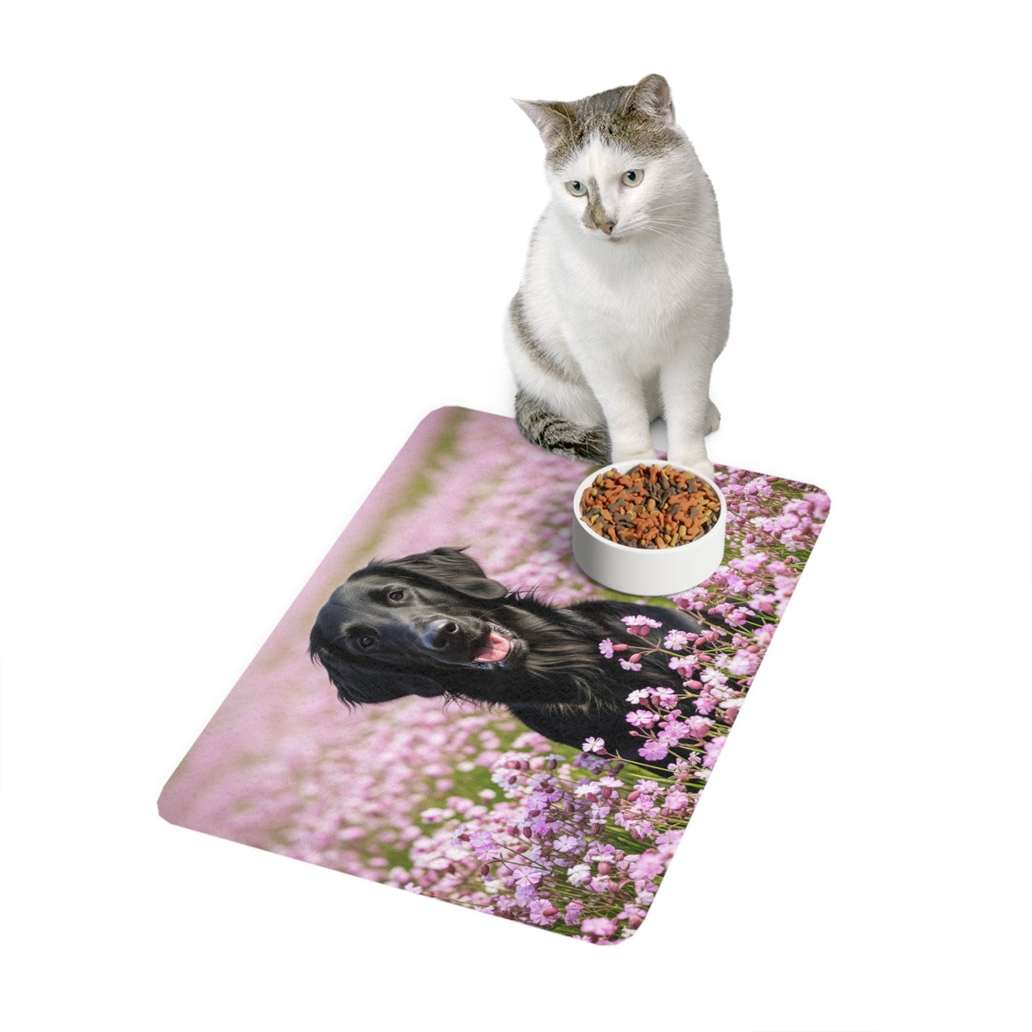 Tapis antidérapant pour animaux de compagnie – Tapis d'alimentation étanche pour chiens