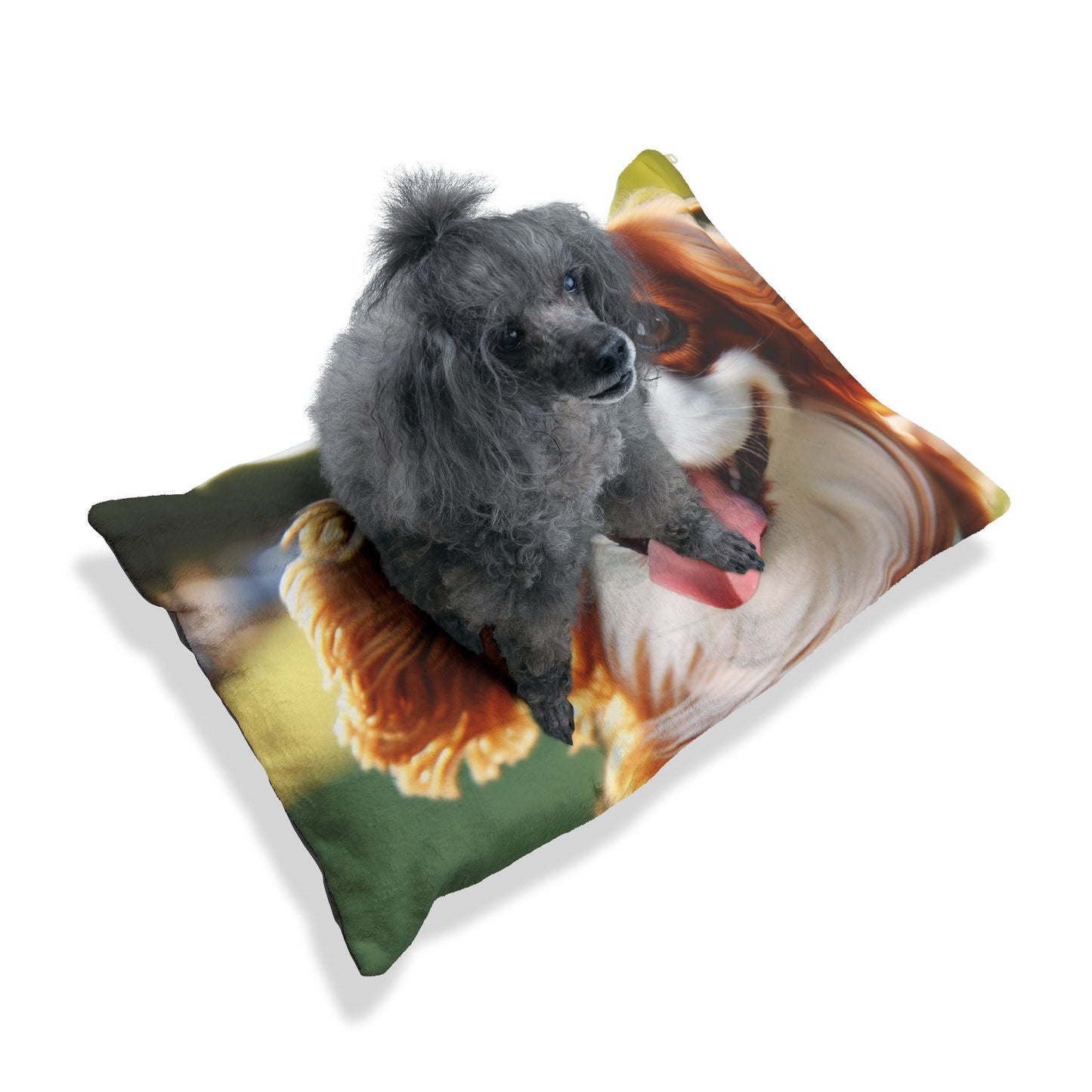 Lit pour animaux – Lit moelleux pour chien, 3 tailles disponibles