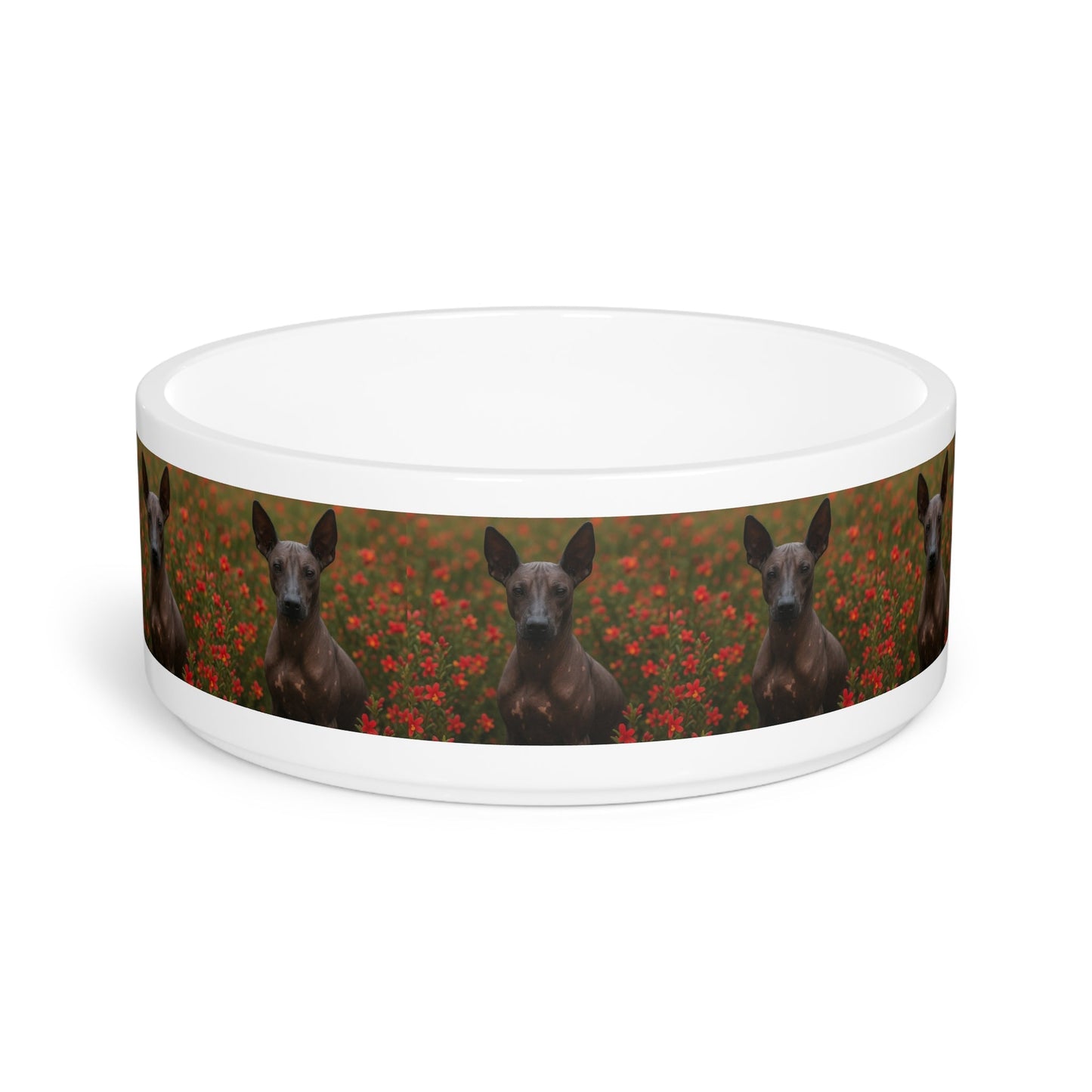 Ceramic Pet Bowl – 16 oz Dog Feeding Bowl