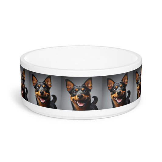 Ceramic Pet Bowl – 16 oz Dog Feeding Bowl