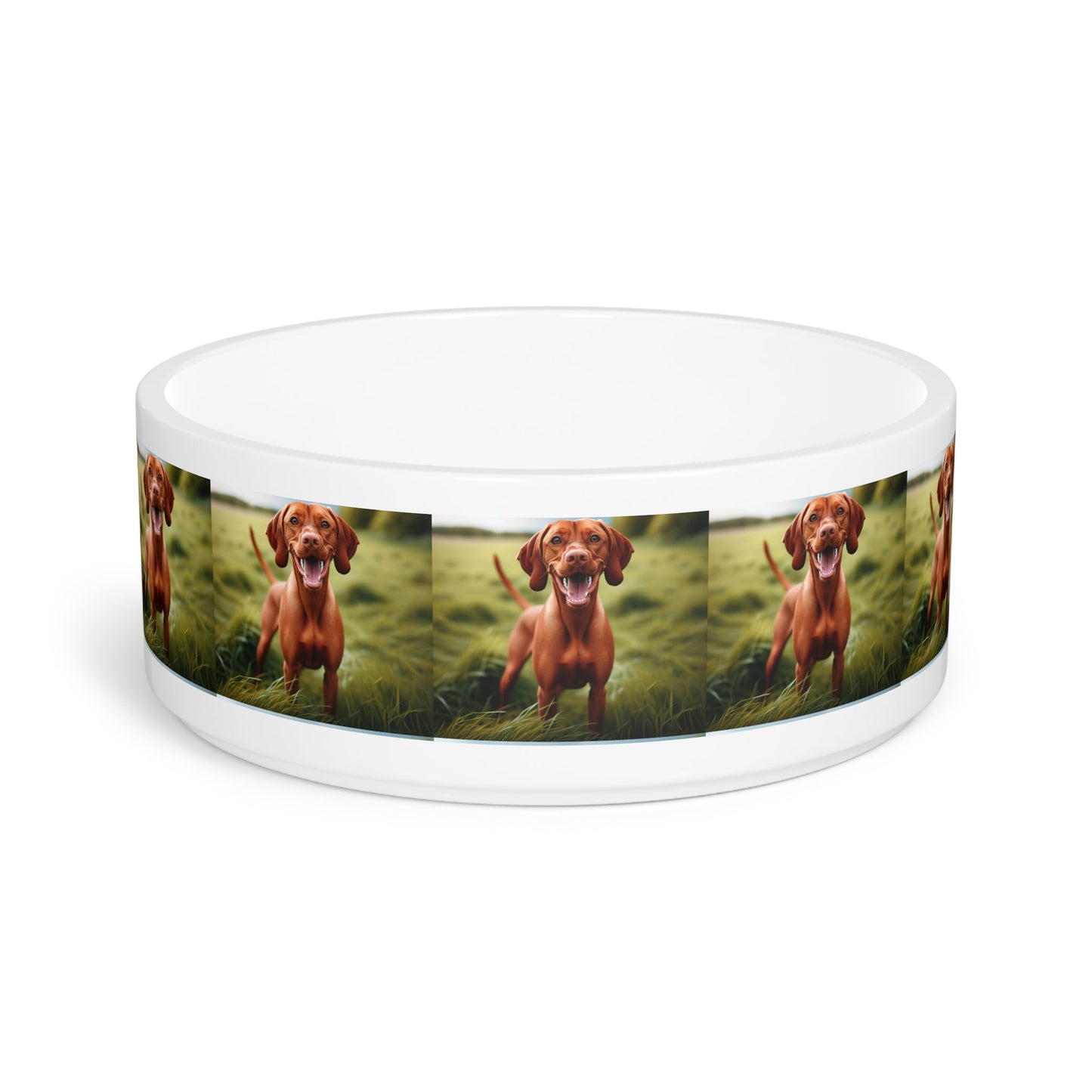 Ceramic Pet Bowl – 16 oz Dog Feeding Bowl