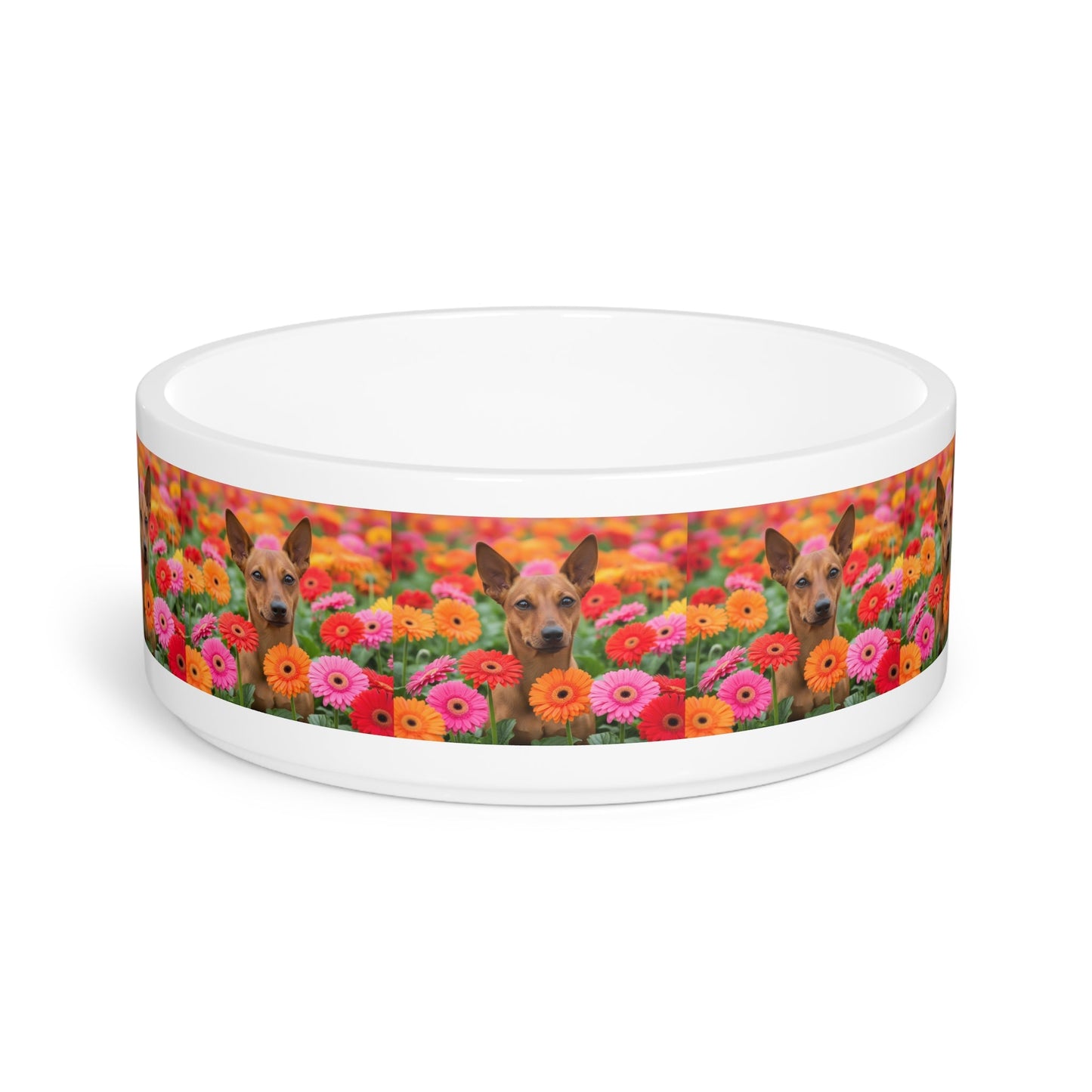 Ceramic Pet Bowl – 16 oz Dog Feeding Bowl
