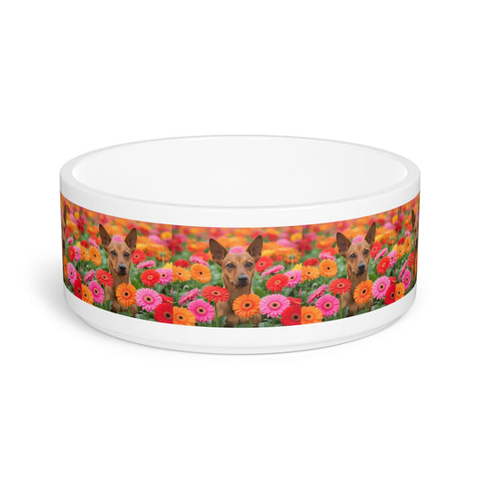 Ceramic Pet Bowl – 16 oz Dog Feeding Bowl