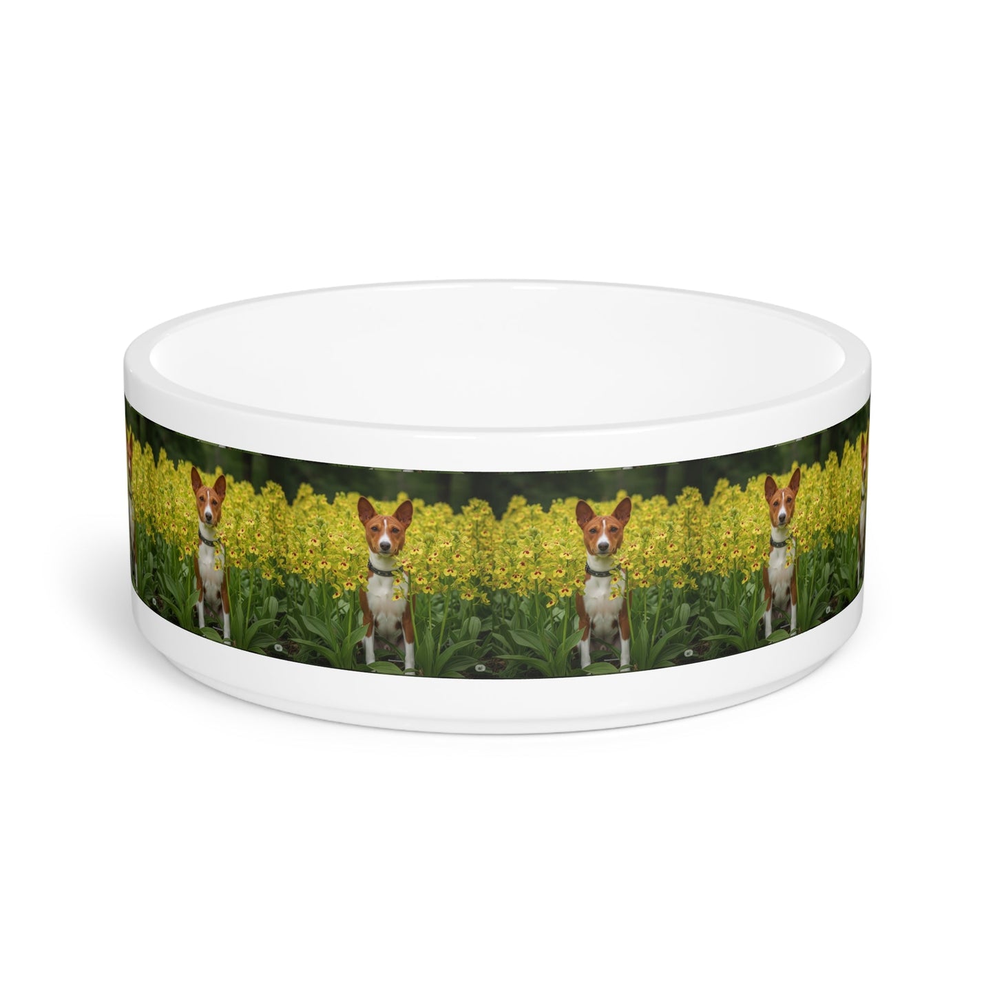 Ceramic Pet Bowl – 16 oz Dog Feeding Bowl