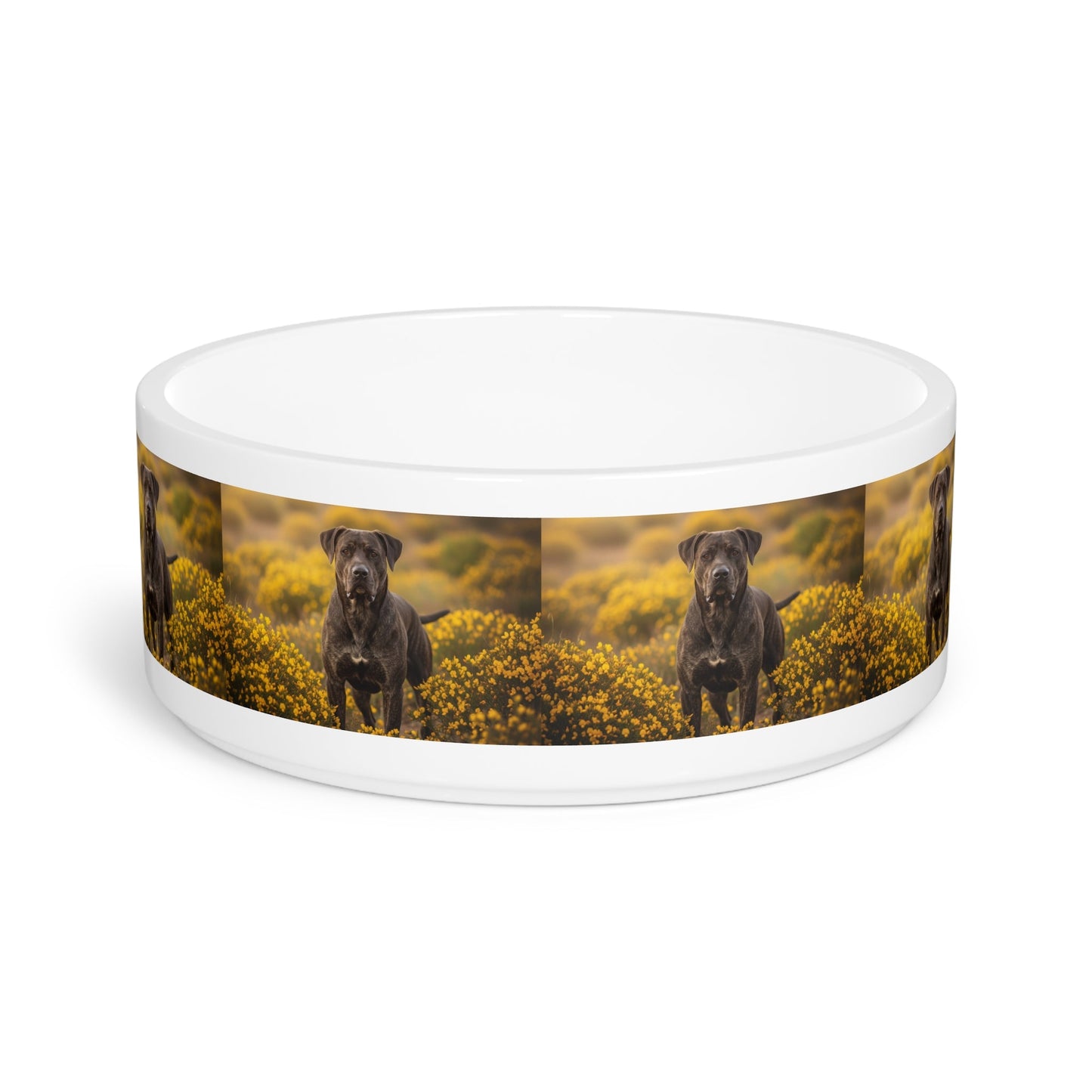 Ceramic Pet Bowl – 16 oz Dog Feeding Bowl
