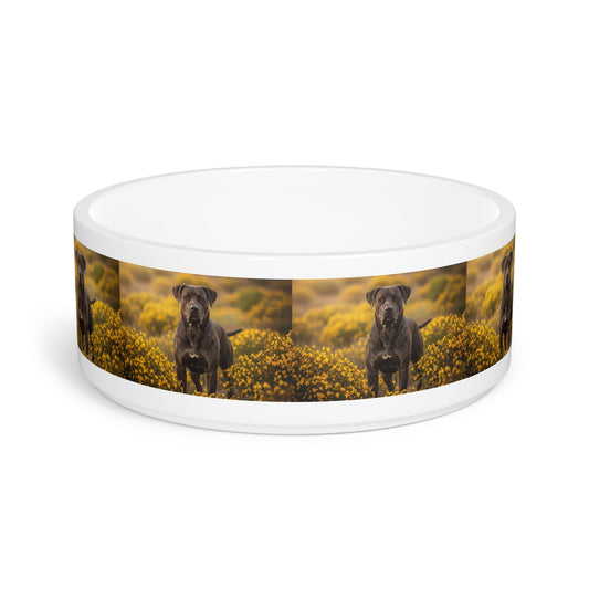 Ceramic Pet Bowl – 16 oz Dog Feeding Bowl