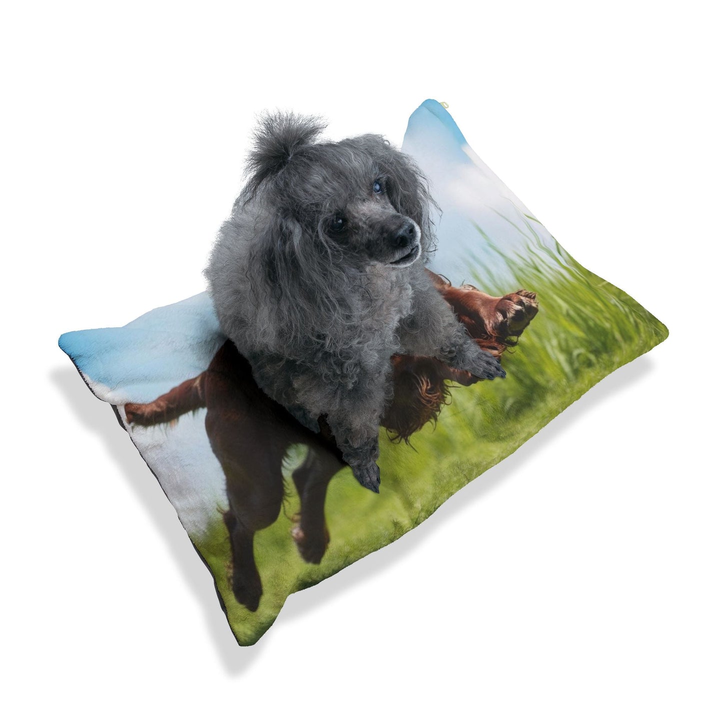 Hundebett – Plüsch-Hundebett, 3 Größenoptionen