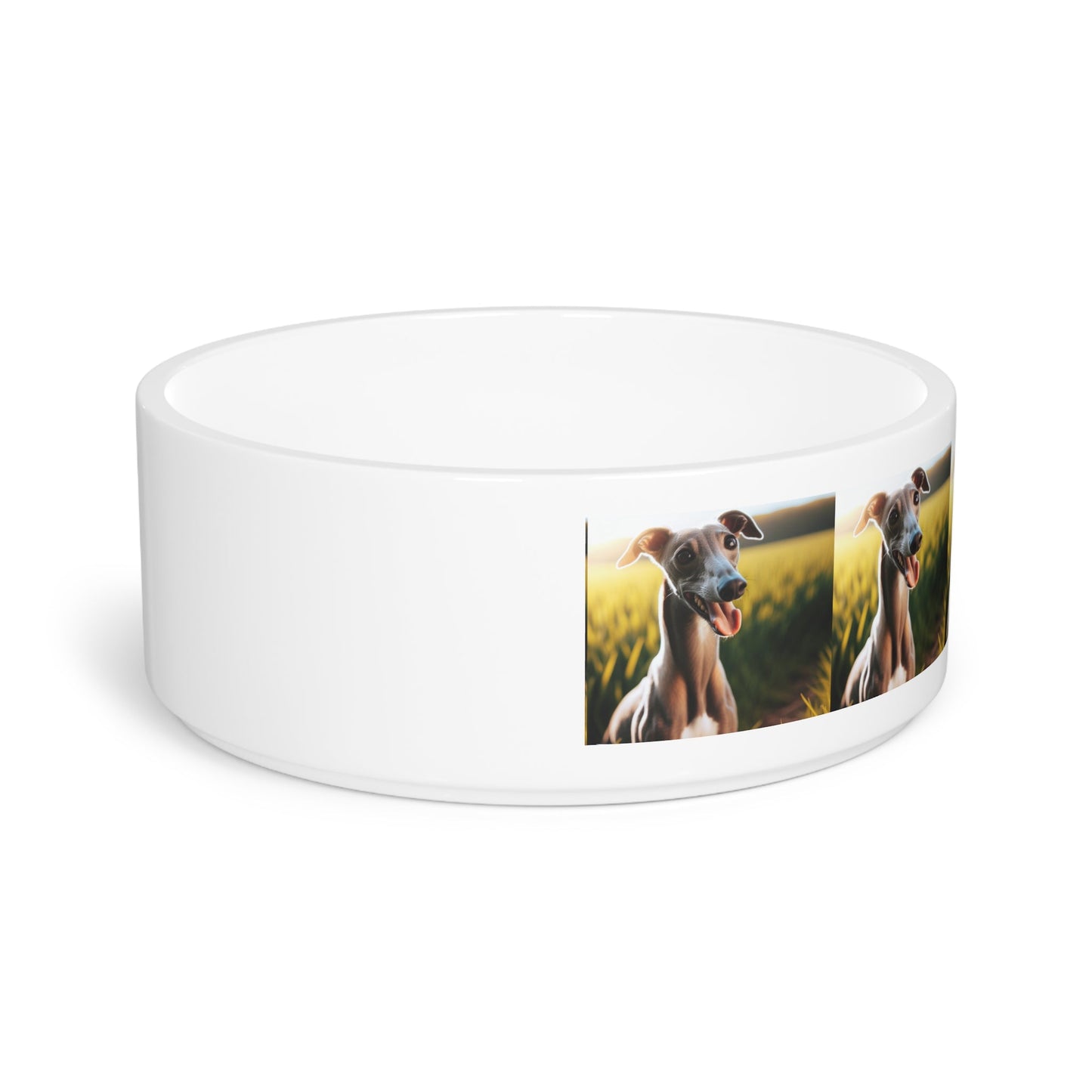 Ceramic Pet Bowl – 16 oz Dog Feeding Bowl