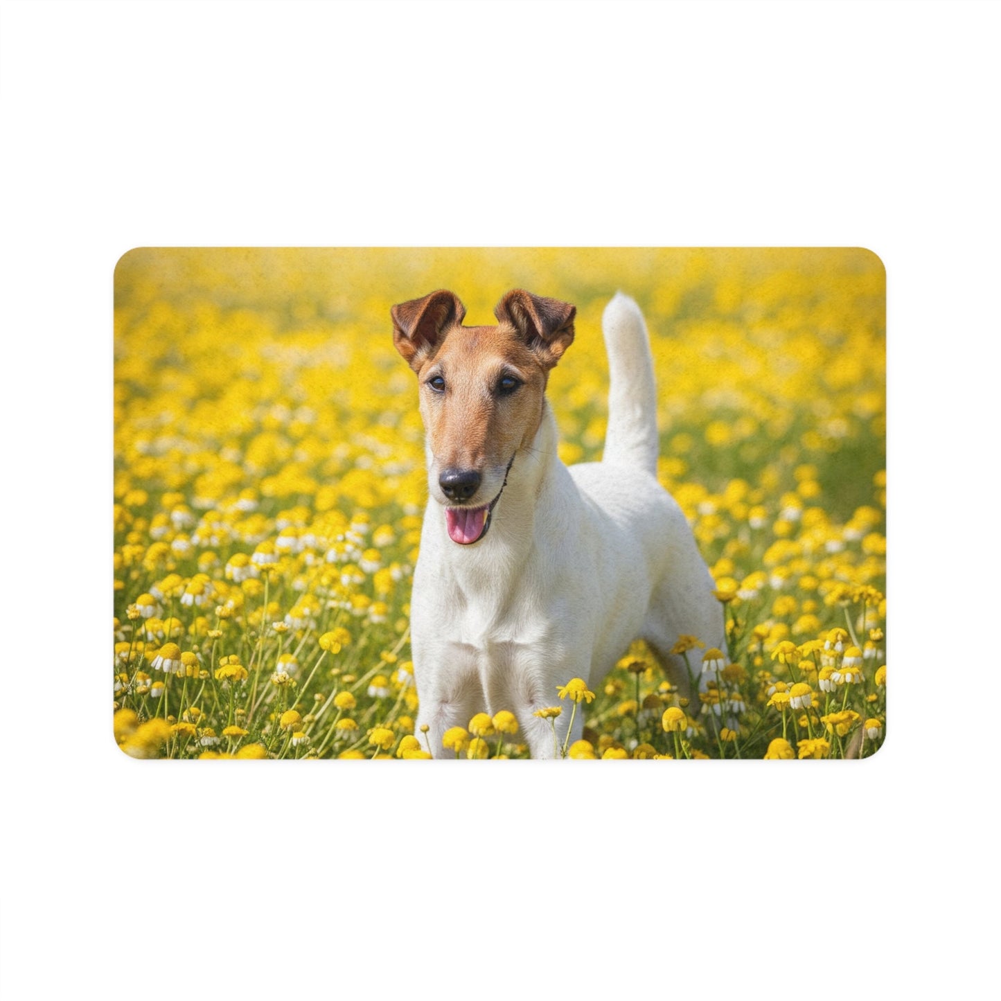 Non-Slip Pet Food Mat – Waterproof Feeding Mat for Dogs