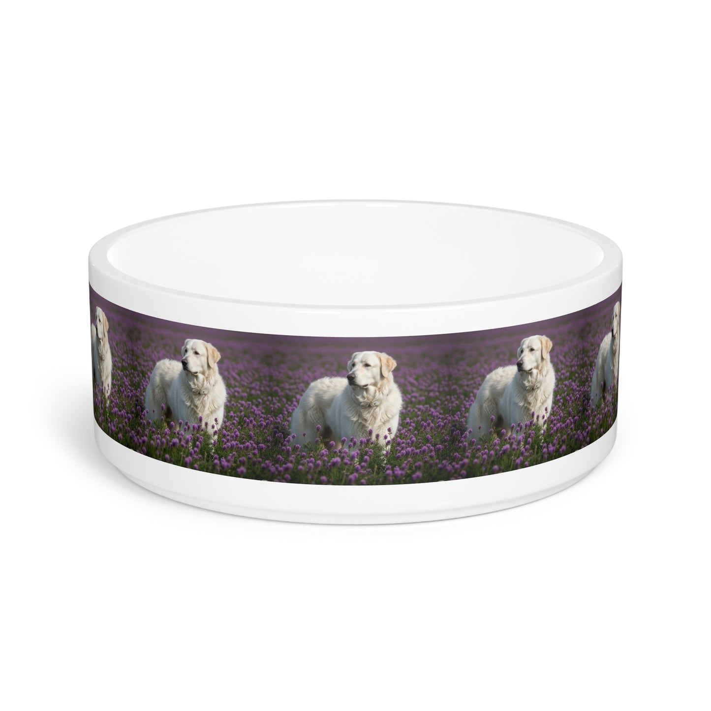 Gamelle en céramique pour animaux de compagnie – Gamelle de 47 cl pour chien