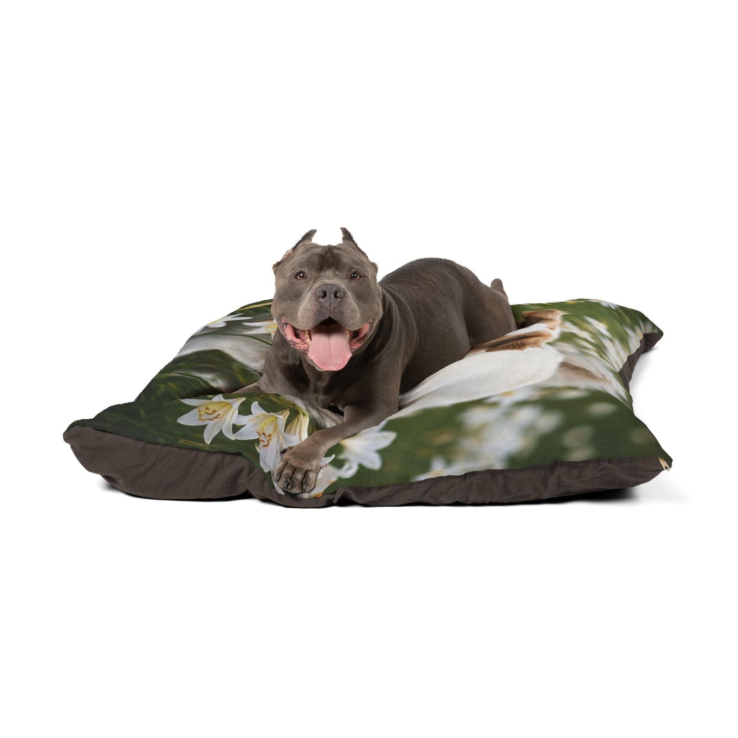 Hundebett – Plüsch-Hundebett, 3 Größenoptionen
