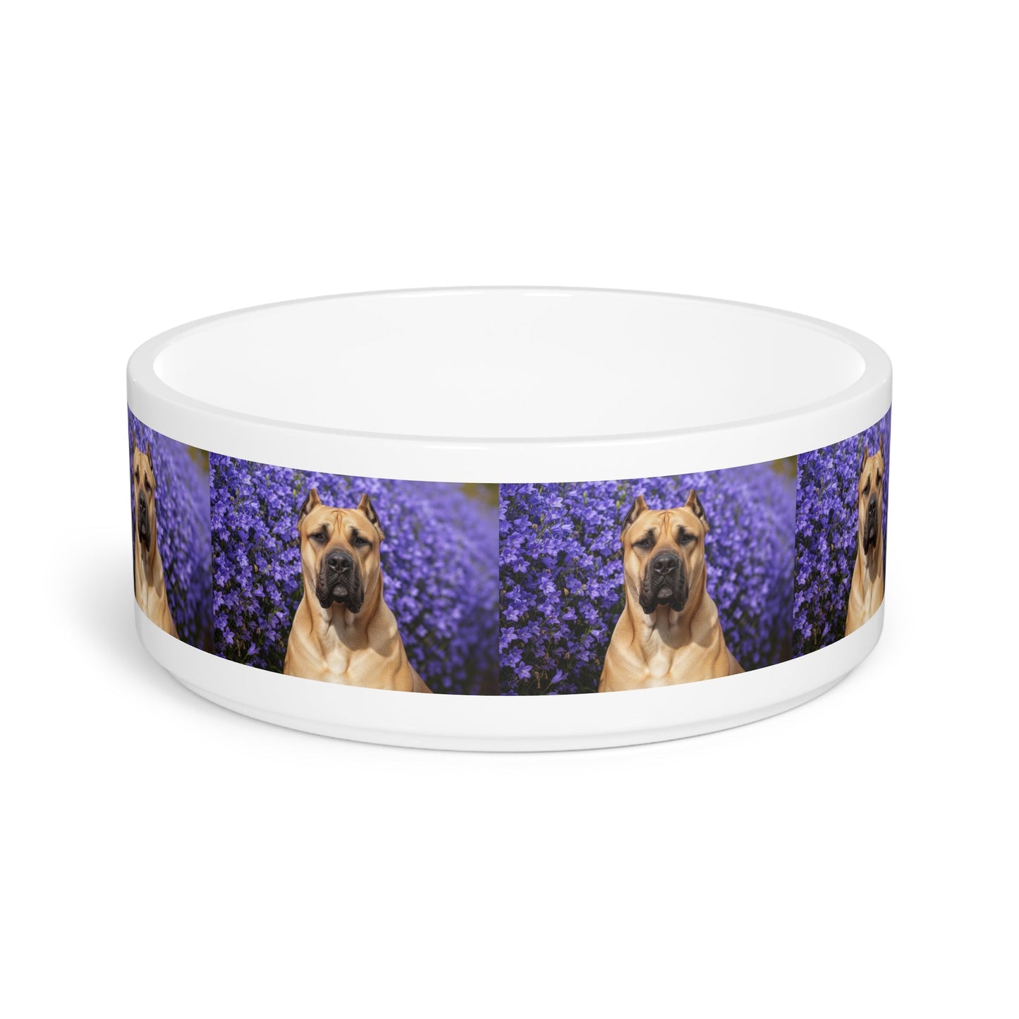 Ceramic Pet Bowl – 16 oz Dog Feeding Bowl