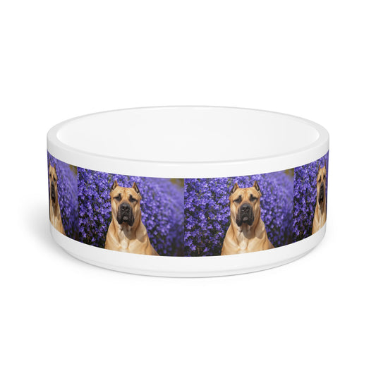 Ceramic Pet Bowl – 16 oz Dog Feeding Bowl