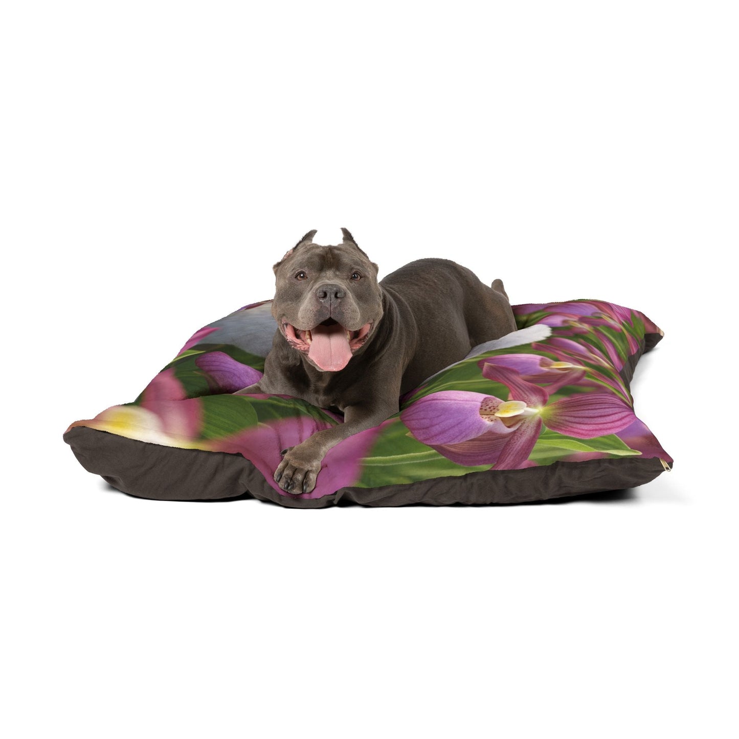 Lit pour animaux – Lit moelleux pour chien, 3 tailles disponibles