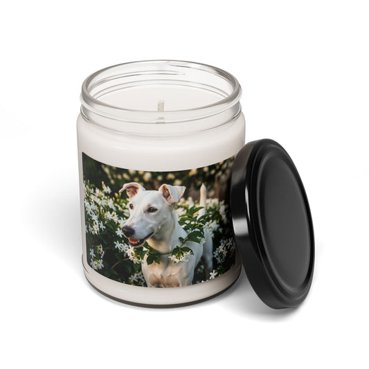 Bougie parfumée en cire de soja avec pot en verre