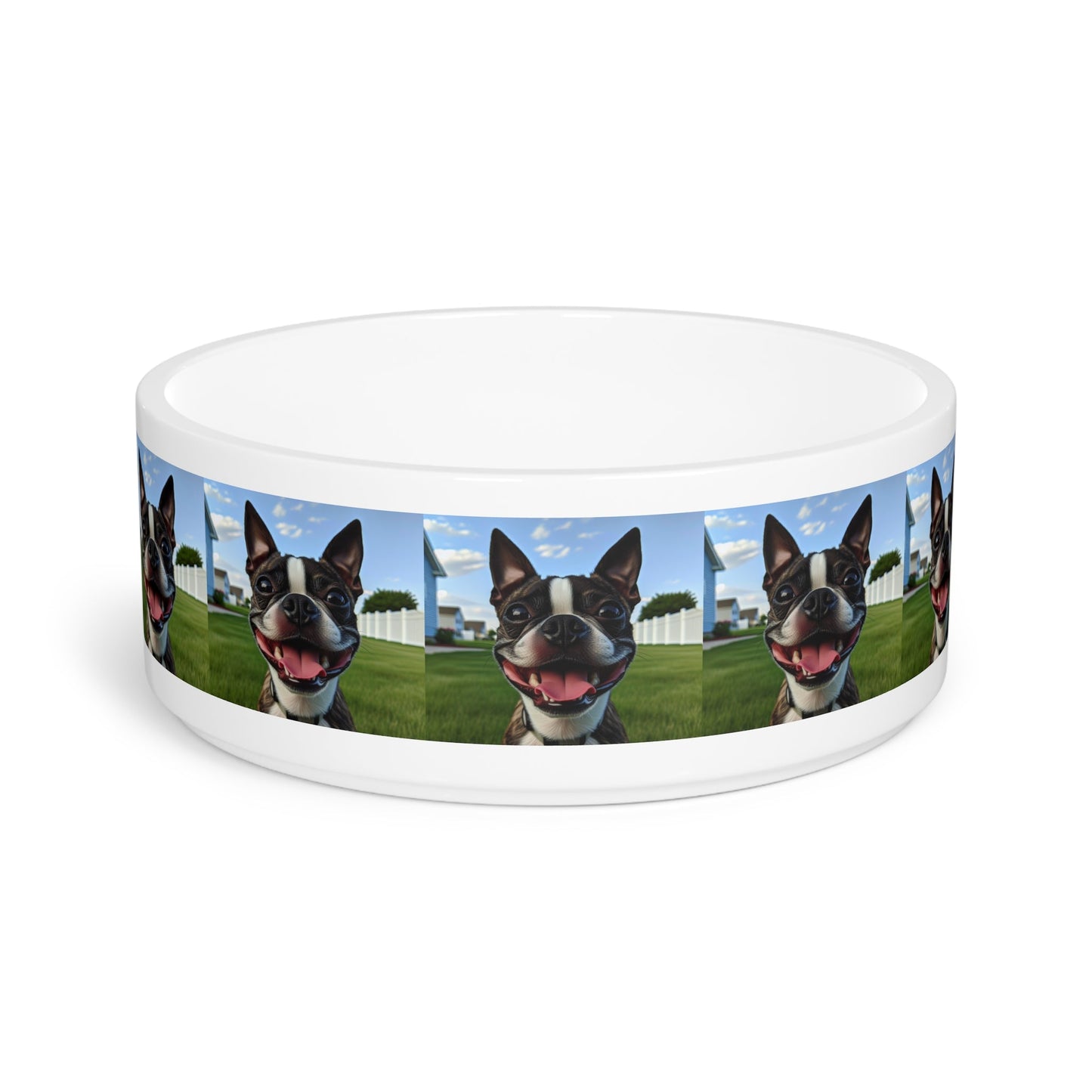 Ceramic Pet Bowl – 16 oz Dog Feeding Bowl