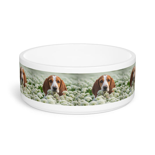 Ceramic Pet Bowl – 16 oz Dog Feeding Bowl