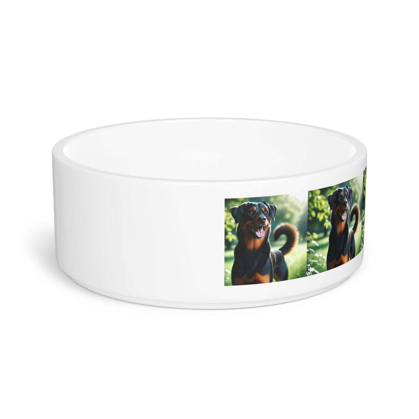Ceramic Pet Bowl – 16 oz Dog Feeding Bowl
