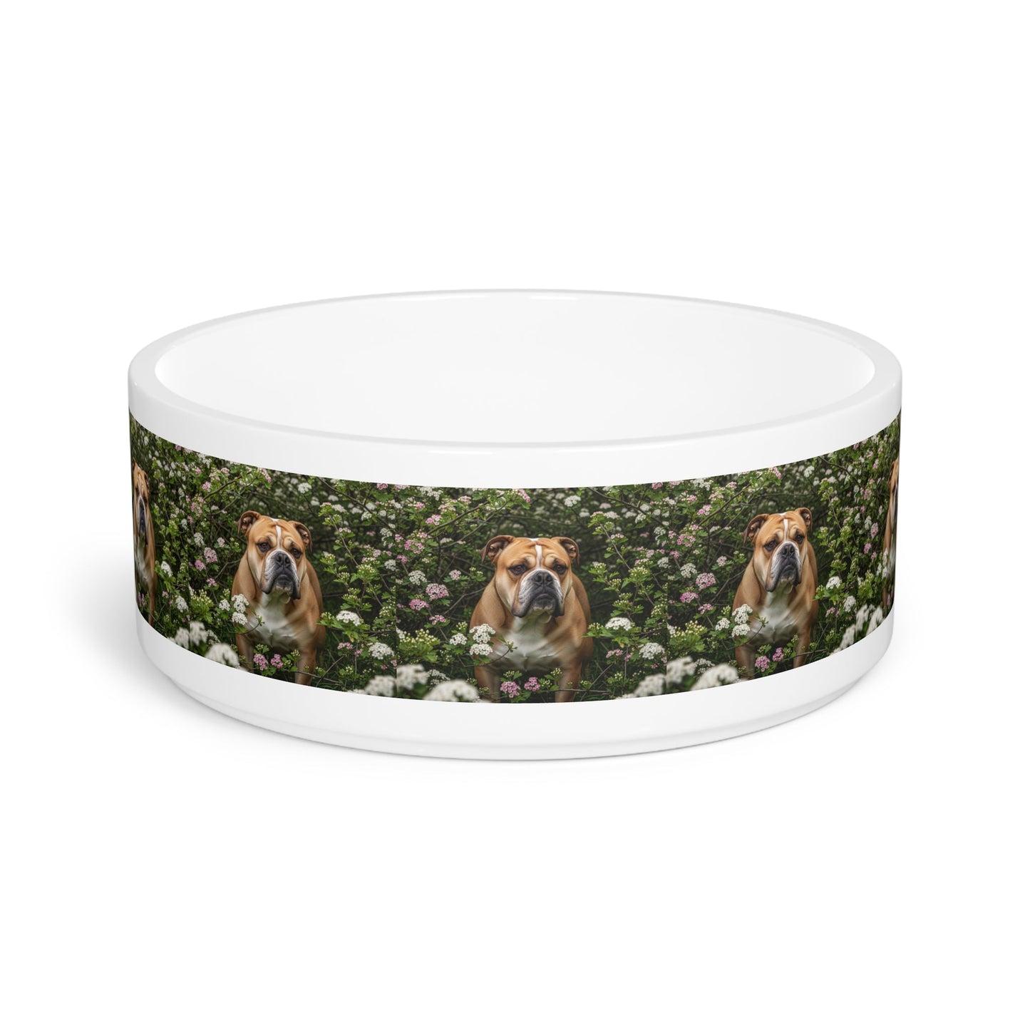 Ceramic Pet Bowl – 16 oz Dog Feeding Bowl