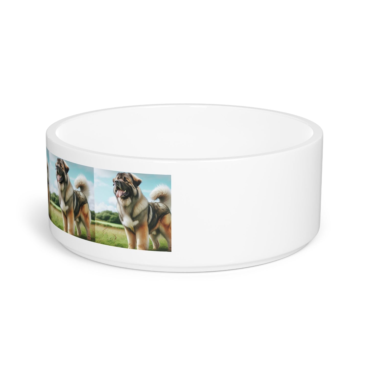 Ceramic Pet Bowl – 16 oz Dog Feeding Bowl