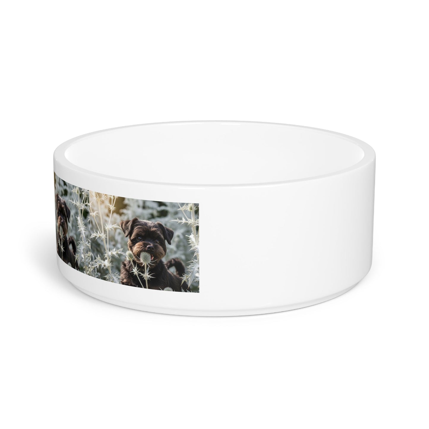 Ceramic Pet Bowl – 16 oz Dog Feeding Bowl