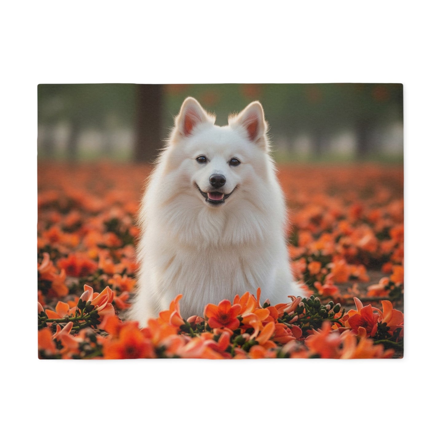 Sweatshirt Blanket – Plush Fleece Throw, 2 Size Options