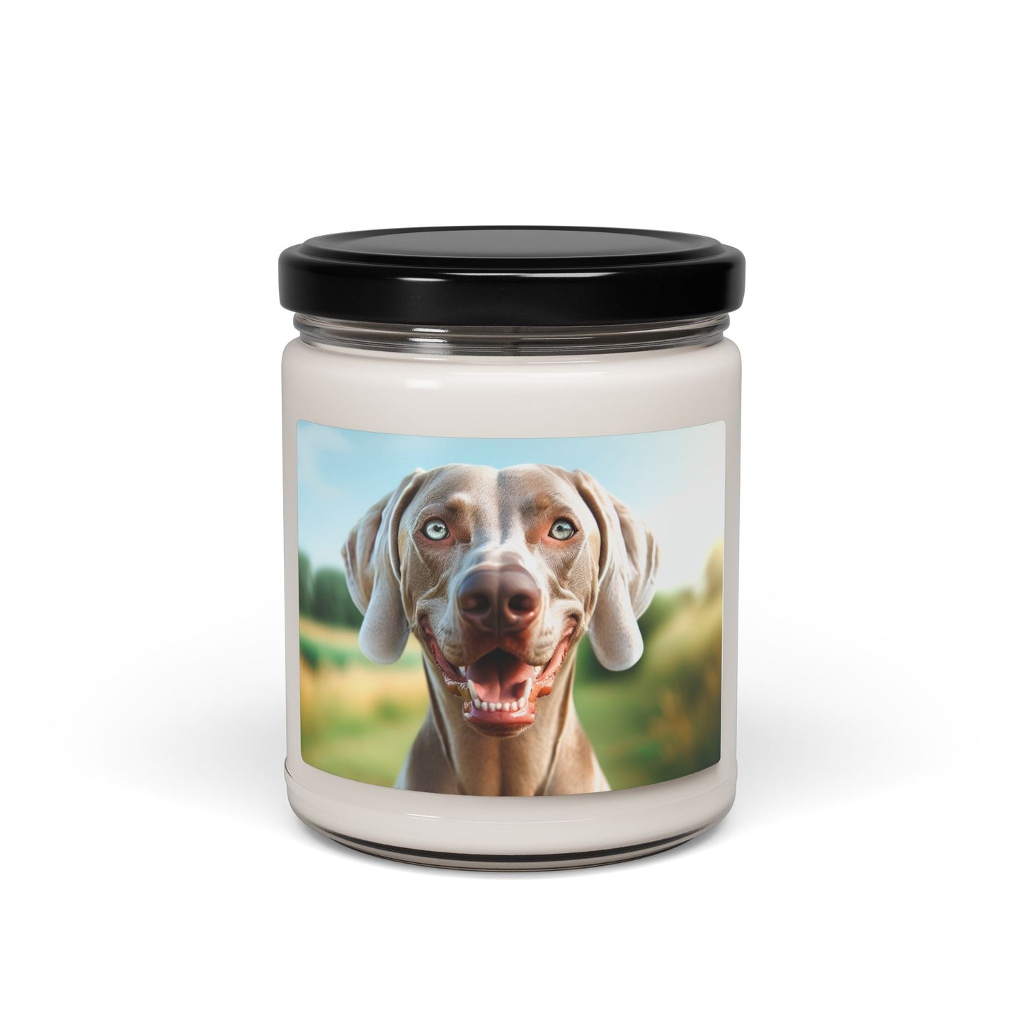 Soy Candle – Scented Jar Candle