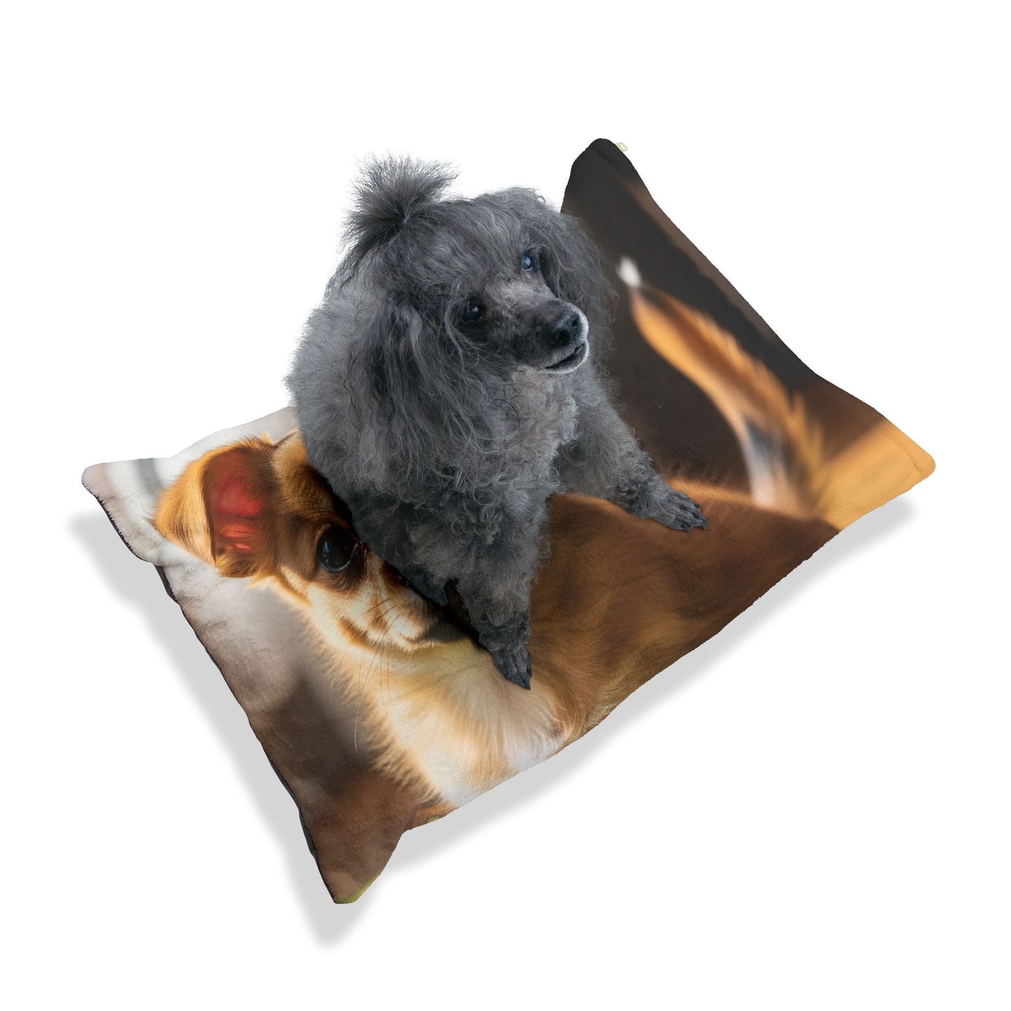 Pet Bed – Plush Dog Bed, 3 Size Options
