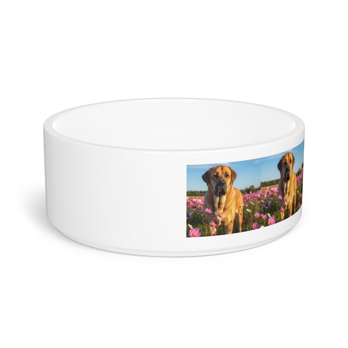 Gamelle en céramique pour animaux de compagnie – Gamelle de 47 cl pour chien
