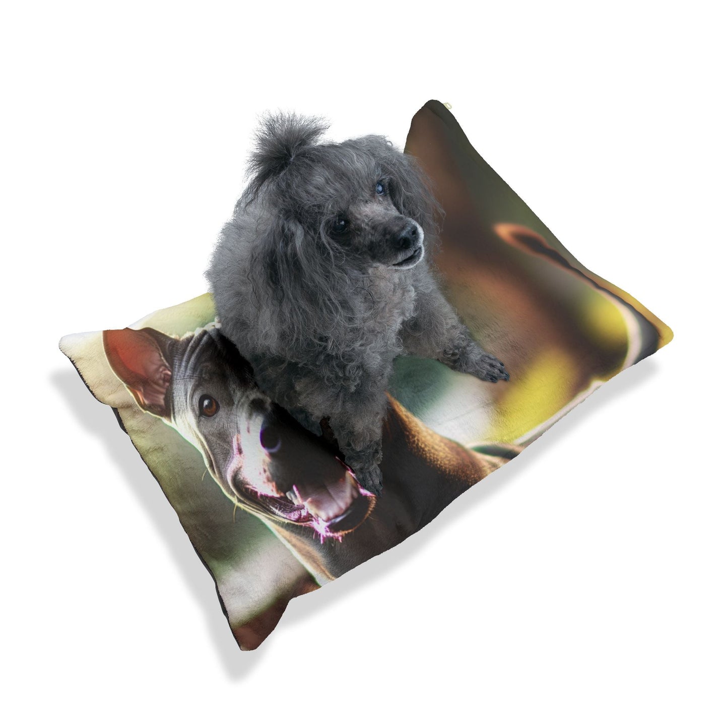 Lit pour animaux de compagnie – Lit douillet pour chien, 3 tailles disponibles