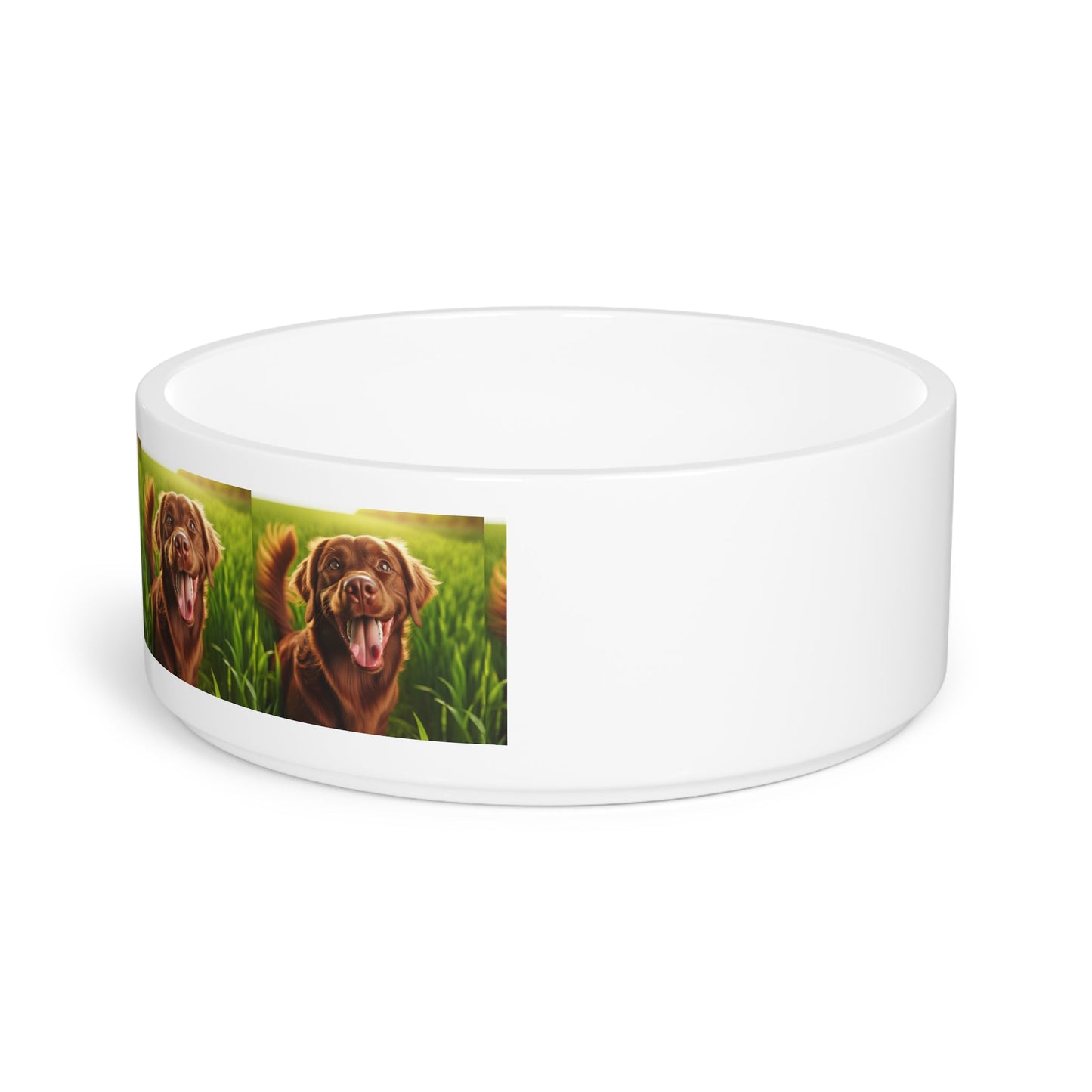 Keramik-Haustierschale – 450 ml Futterschale für Hunde