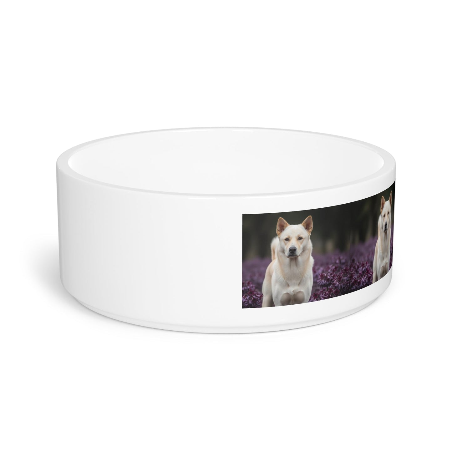 Ceramic Pet Bowl – 16 oz Dog Feeding Bowl