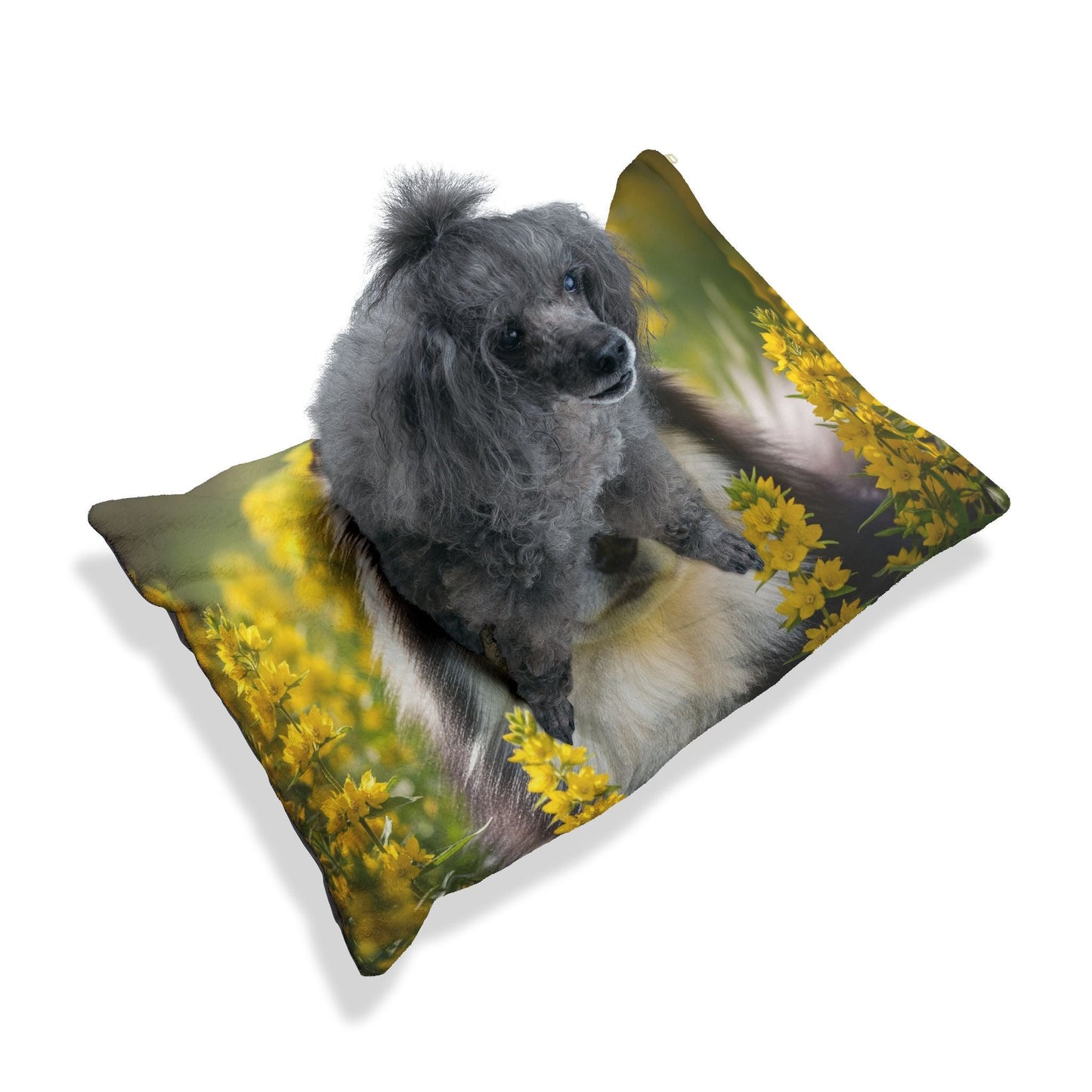 Lit pour animaux de compagnie – Lit douillet pour chien, 3 tailles disponibles