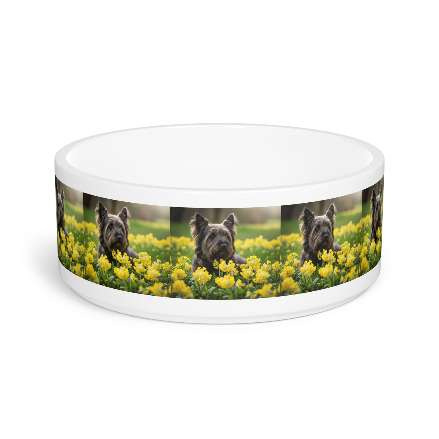 Ceramic Pet Bowl – 16 oz Dog Feeding Bowl