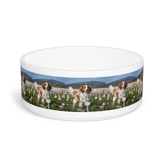 Ceramic Pet Bowl – 16 oz Dog Feeding Bowl