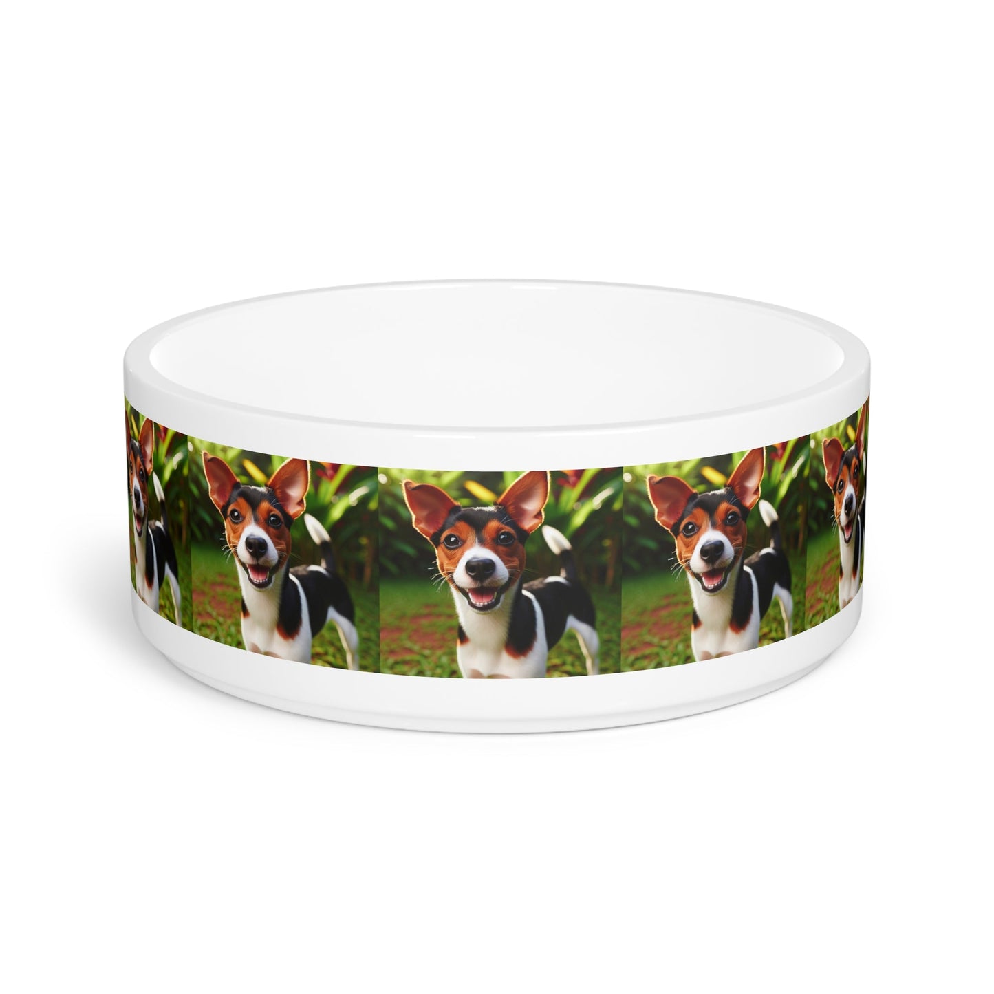 Ceramic Pet Bowl – 16 oz Dog Feeding Bowl