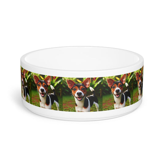 Ceramic Pet Bowl – 16 oz Dog Feeding Bowl