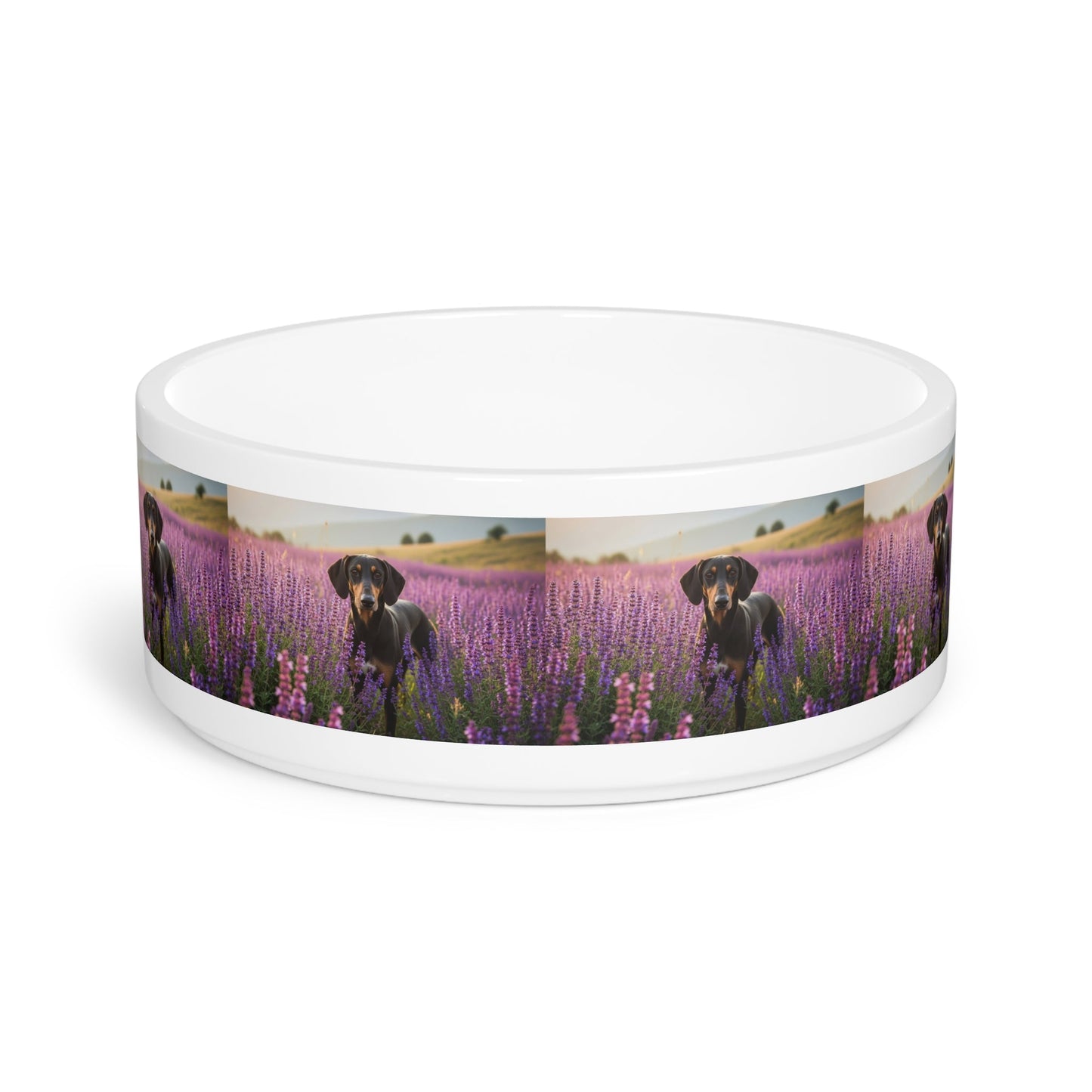 Ceramic Pet Bowl – 16 oz Dog Feeding Bowl